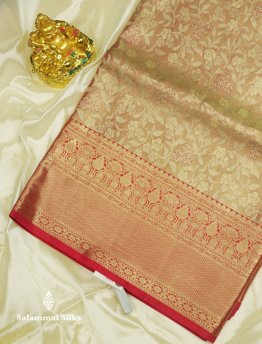 Light Orange Tissue Bridal Pure Kanjivaram Silk Saree With Contrast Chilly Red Border