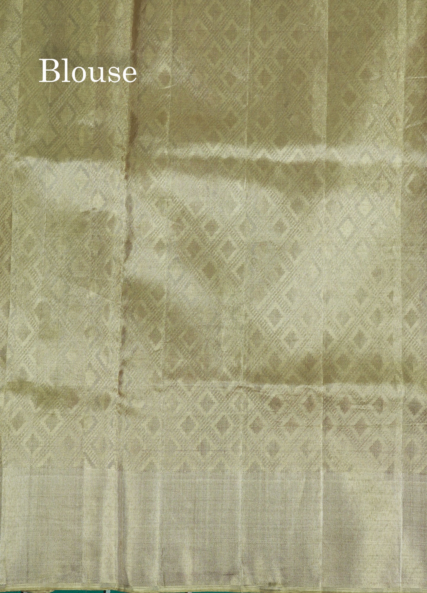 Forest Theme Based Bridal Tissue Pure Kanjivaram Silk Saree With Self Border