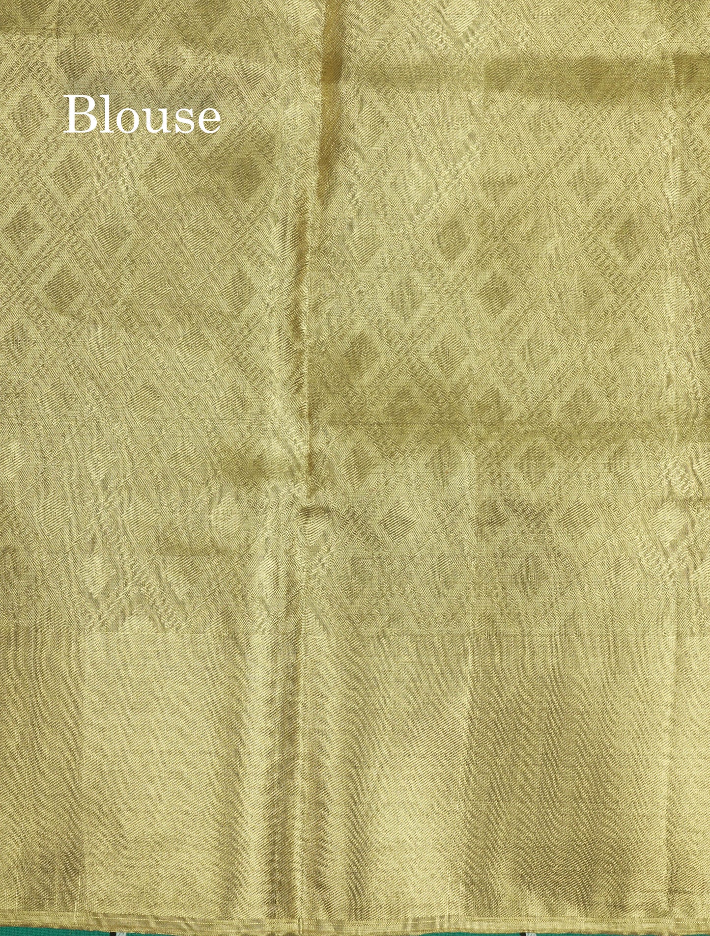 Forest Theme Based Bridal Tissue Pure Kanjivaram Silk Saree With Self Border