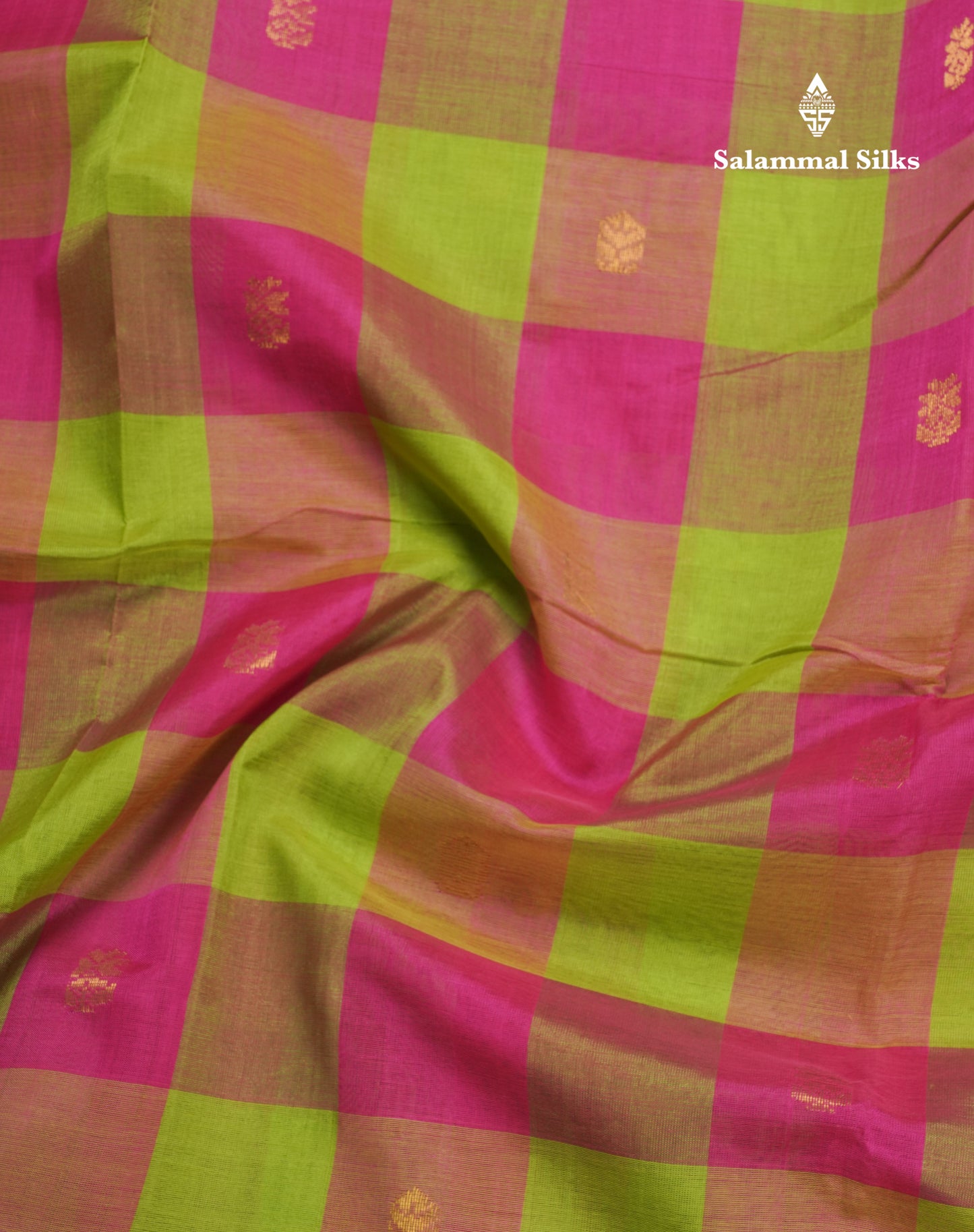 Paalum Pazham Checks Pure Silk Cotton Saree With Contrast Peacock Blue Blouse