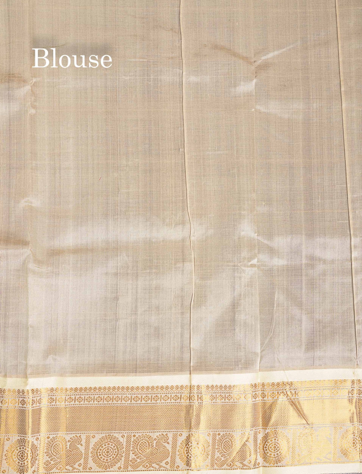 Pure Silk Cotton Saree - Navy Blue Big Checks With Traditional Butta Along With Contrast Cream Traditional Border