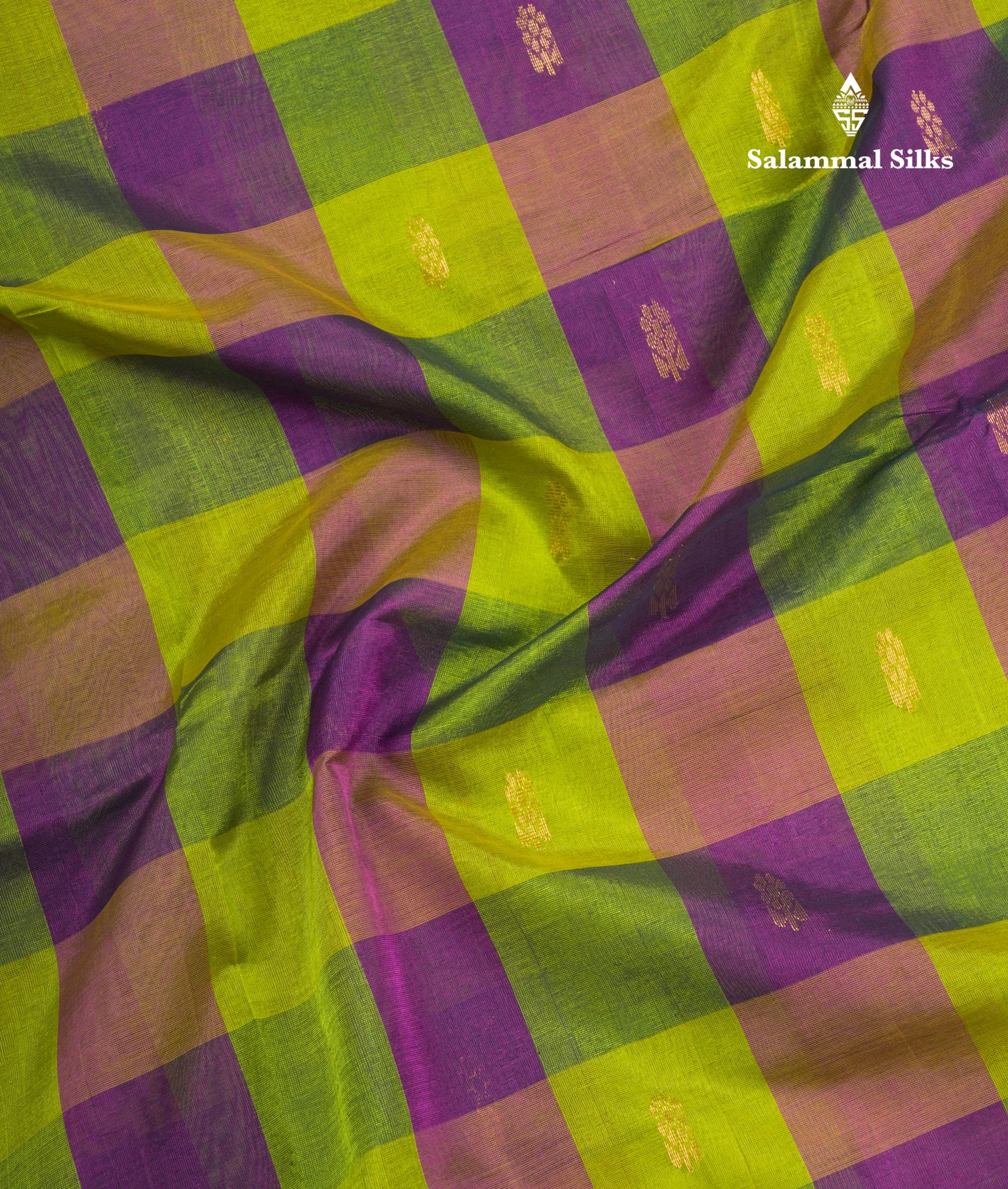 Paalum Pazham Checks Pure Silk Cotton Saree With Contrast Parrot Green Blouse