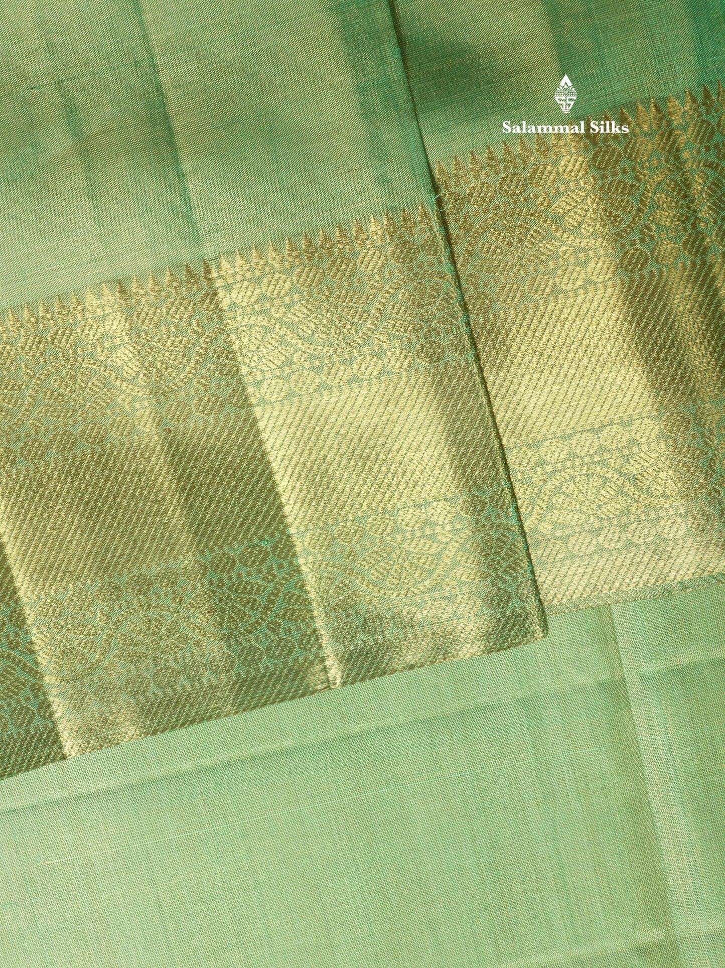 Beautiful Light Green Tissue Plain Pure Kanjivaram Silk Saree (2G) Zari With Self Border