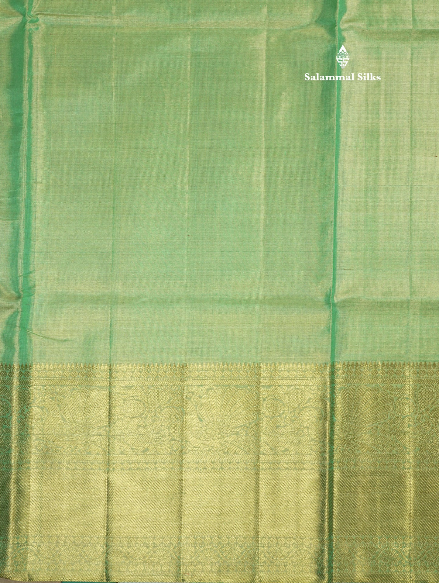 Beautiful Light Green Tissue Plain Pure Kanjivaram Silk Saree (2G) Zari With Self Border