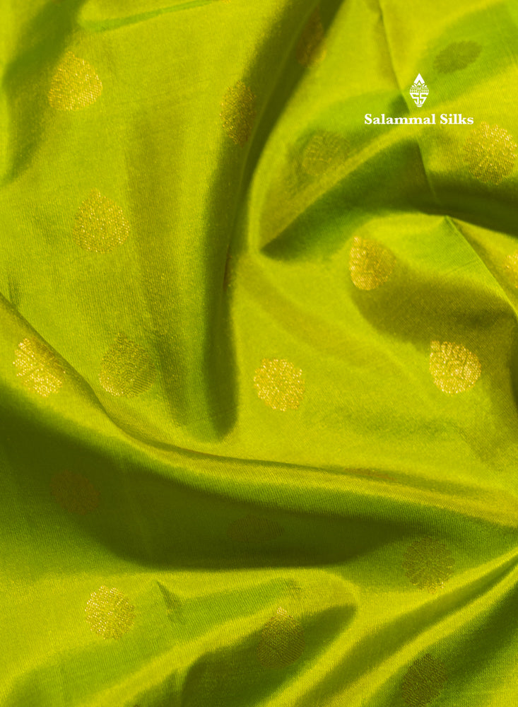 Parrot Green Colour Pure Kanjivaram Silk Saree With Red Border
