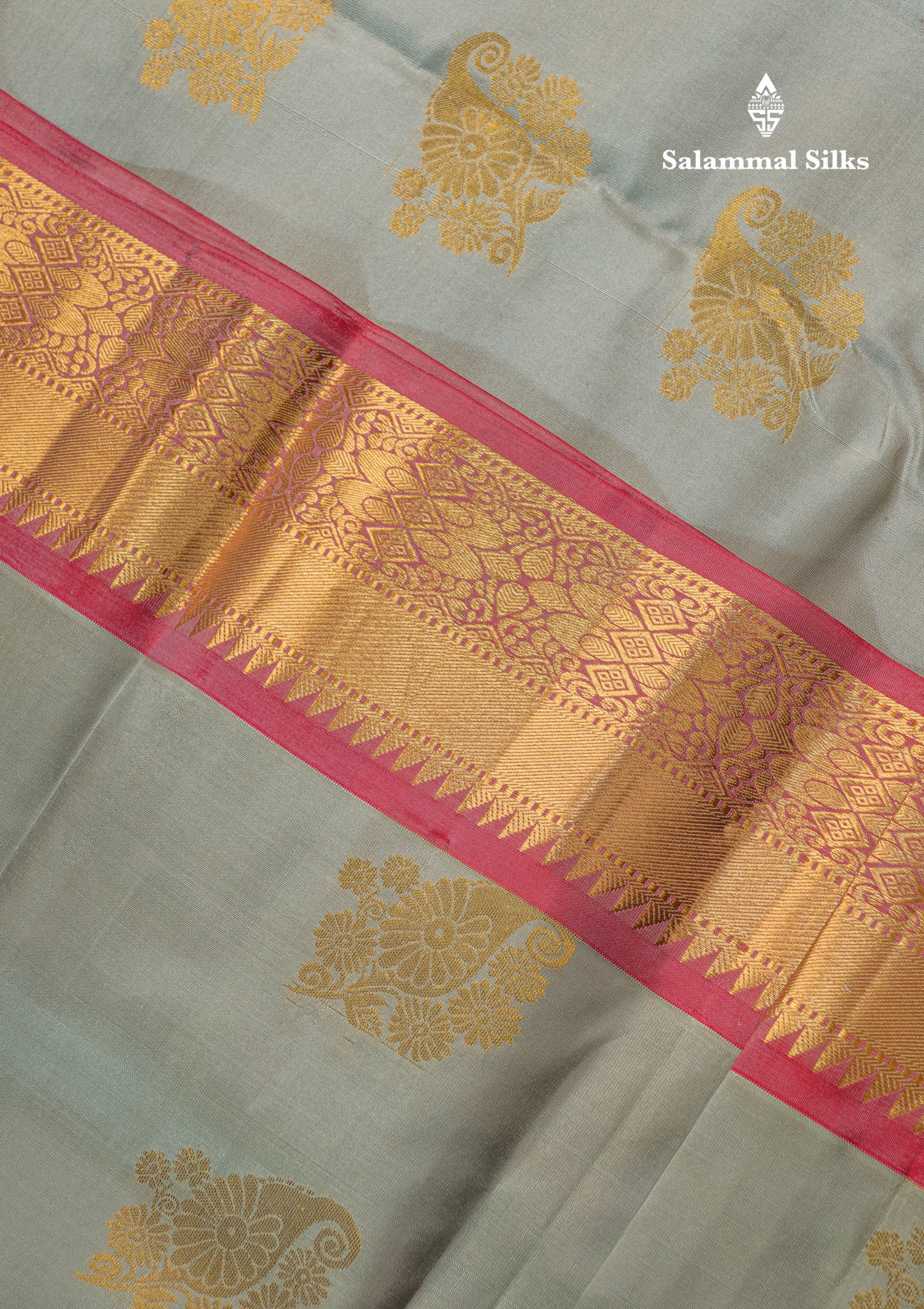 Light Rexona Pure Kanjivaram Silk Saree With Contrast Chilly Red Blouse