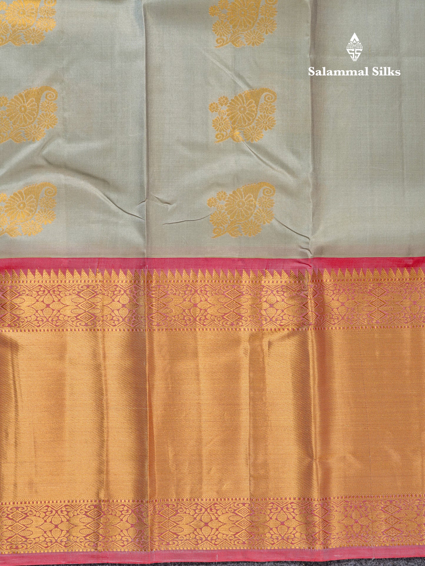 Light Rexona Pure Kanjivaram Silk Saree With Contrast Chilly Red Blouse