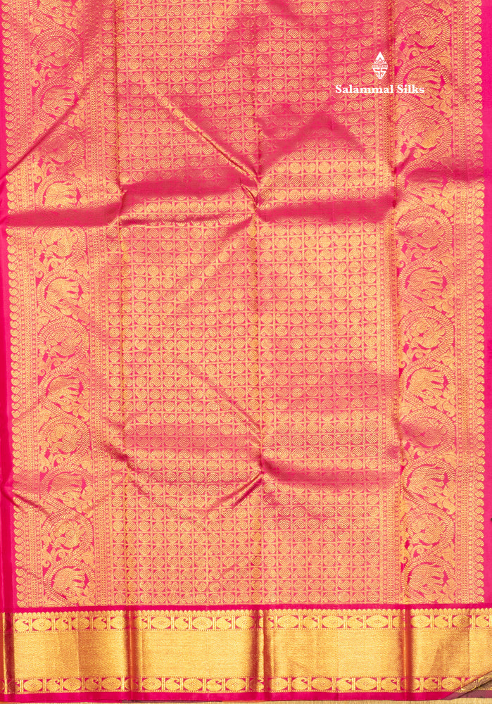 Paalum Pazham Checks Pure Kanjivaram Silk Saree With Traditional Border