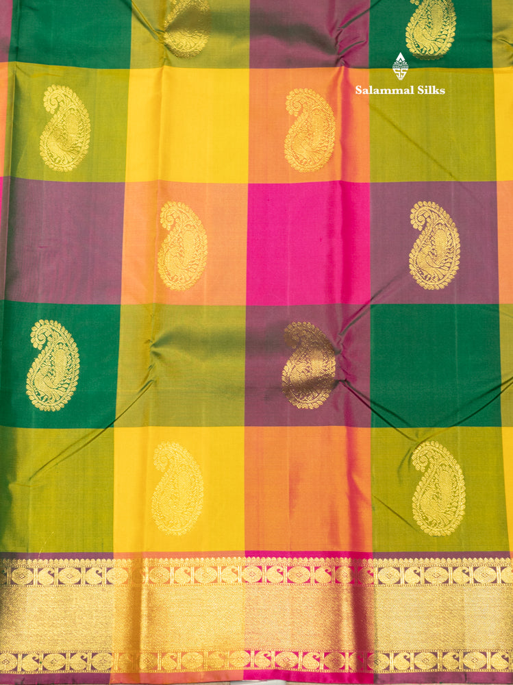 Paalum Pazham Checks Pure Kanjivaram Silk Saree With Traditional Border