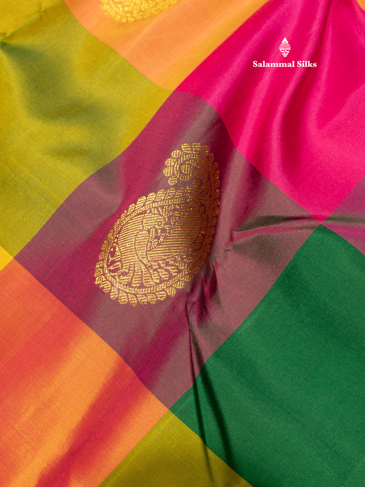 Paalum Pazham Checks Pure Kanjivaram Silk Saree With Traditional Border