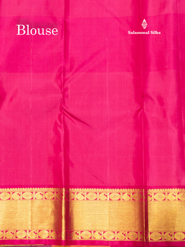 Paalum Pazham Checks Pure Kanjivaram Silk Saree With Traditional Border