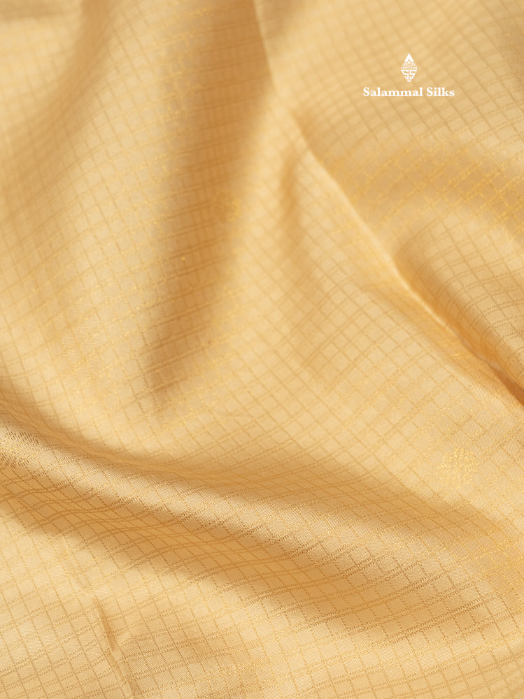 Cream Colour Small Checks Pure Kanjivaram Silk Saree with Traditional Border