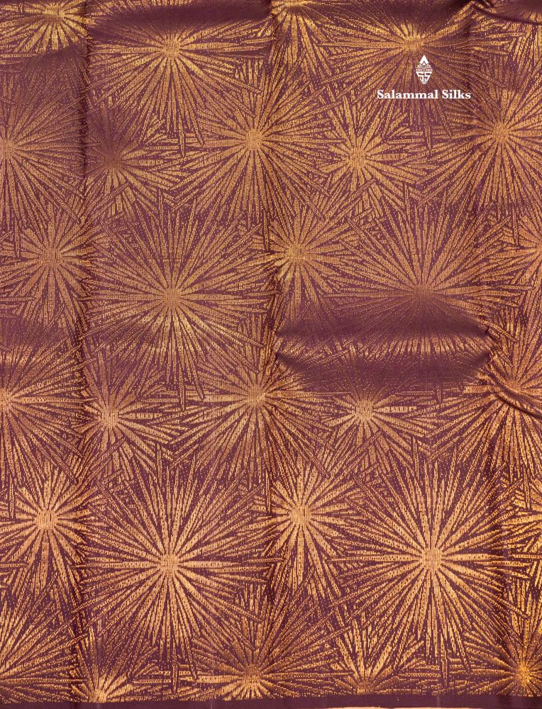 Rust Colour Pure Kanjivaram Silk Saree with Violet Long Size Border