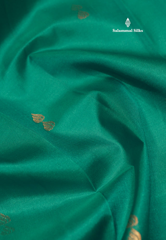 Dark Brown Pure Kanjivaram Silk Saree With Turning Border