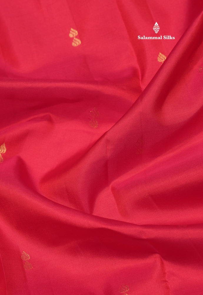 Dark Brown Pure Kanjivaram Silk Saree With Turning Border