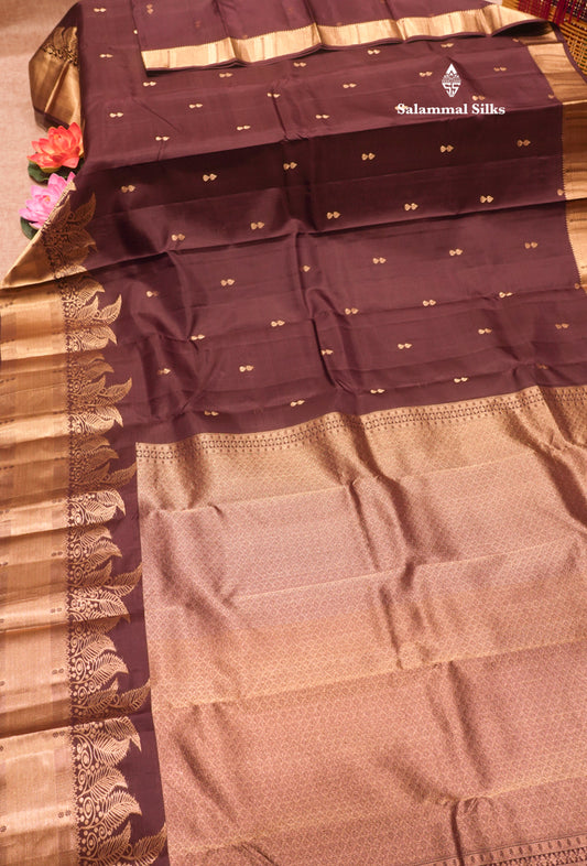 Dark Brown Pure Kanjivaram Silk Saree With Turning Border
