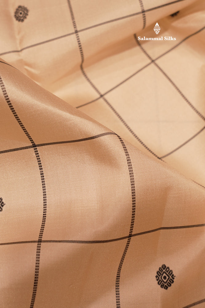 Zari less Cream Colour Checks Pure Kanjivaram Silk Saree With Black Border (No Zari)