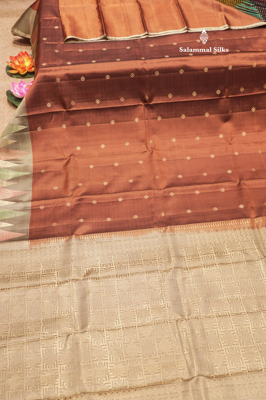 Brown Colour Pure Kanjivaram Soft Silk Saree With Contrast Border