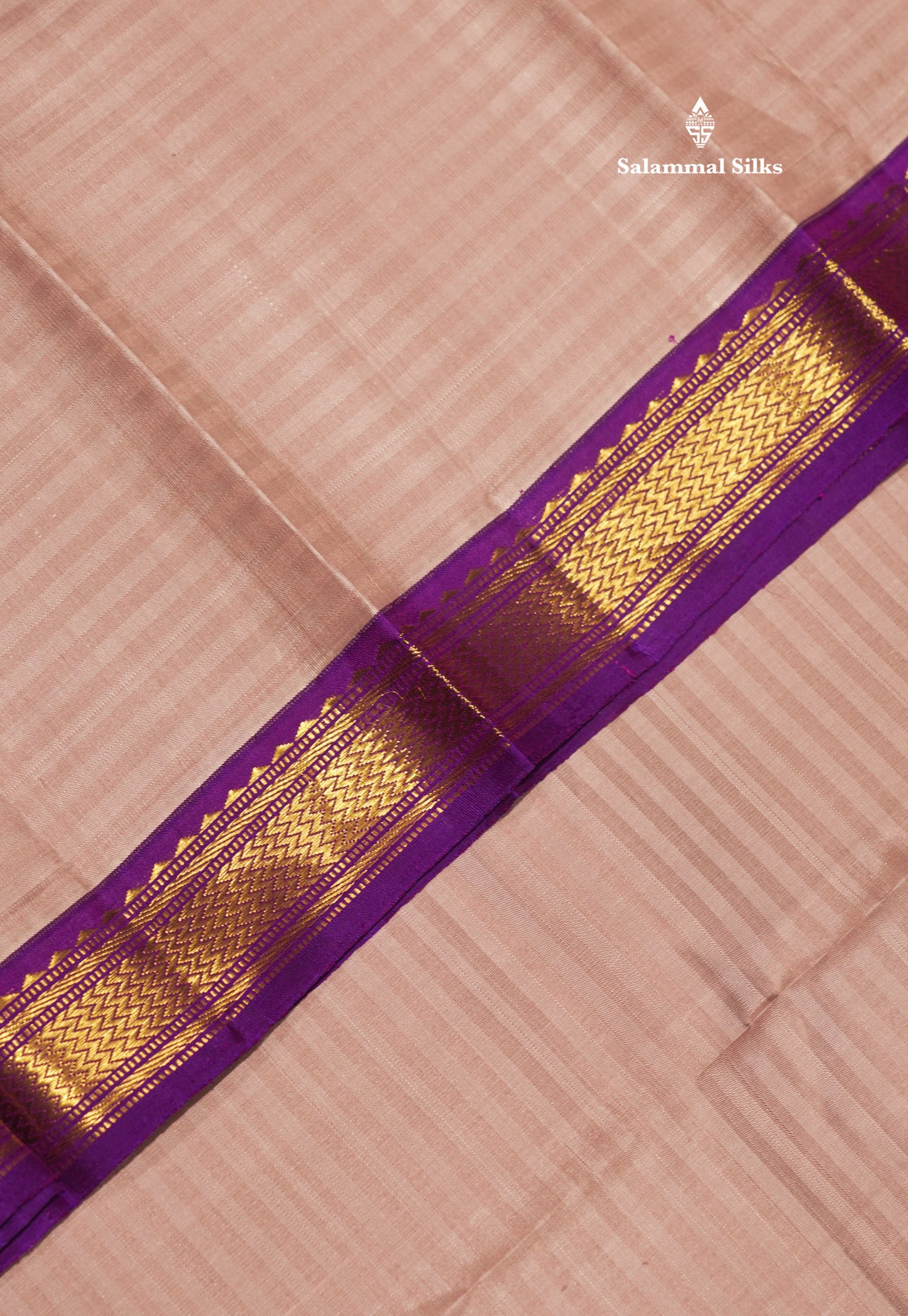 Light Chocolate Colour Pure Kanjivaram Silk Saree With Contrast Violet Small Border
