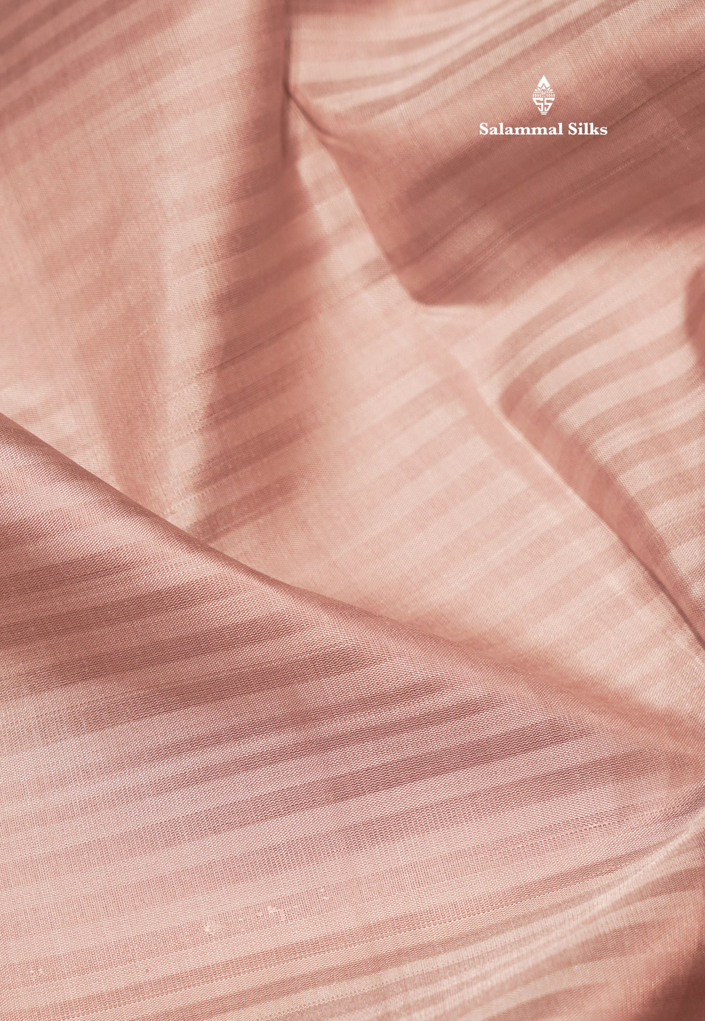 Light Chocolate Colour Pure Kanjivaram Silk Saree With Contrast Violet Small Border