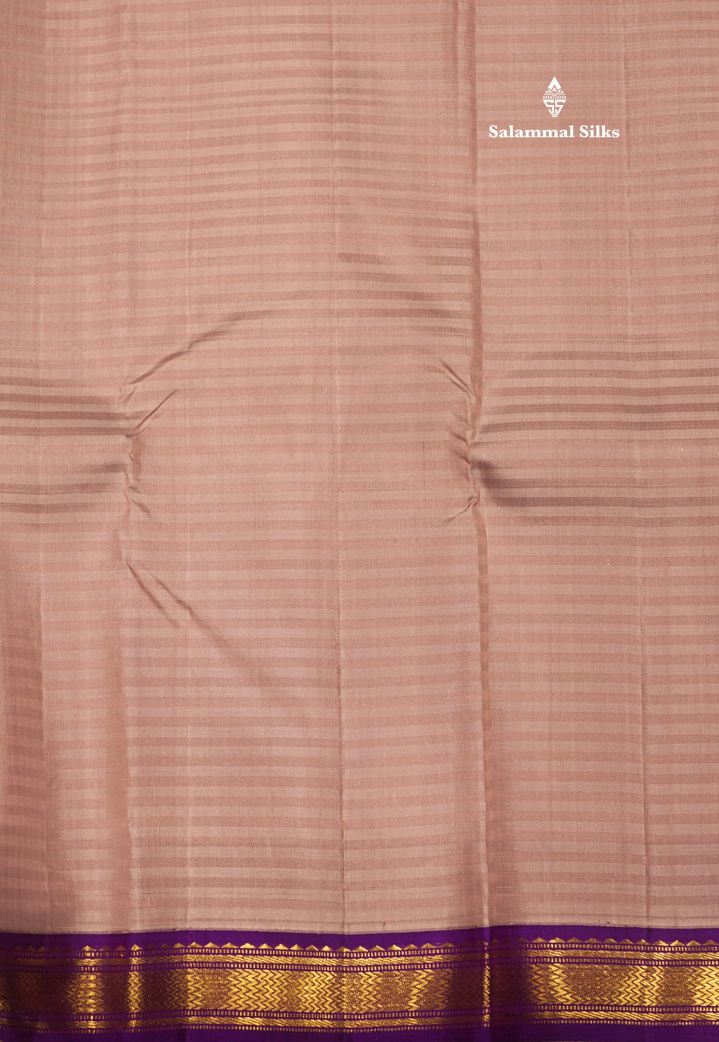 Light Chocolate Colour Pure Kanjivaram Silk Saree With Contrast Violet Small Border