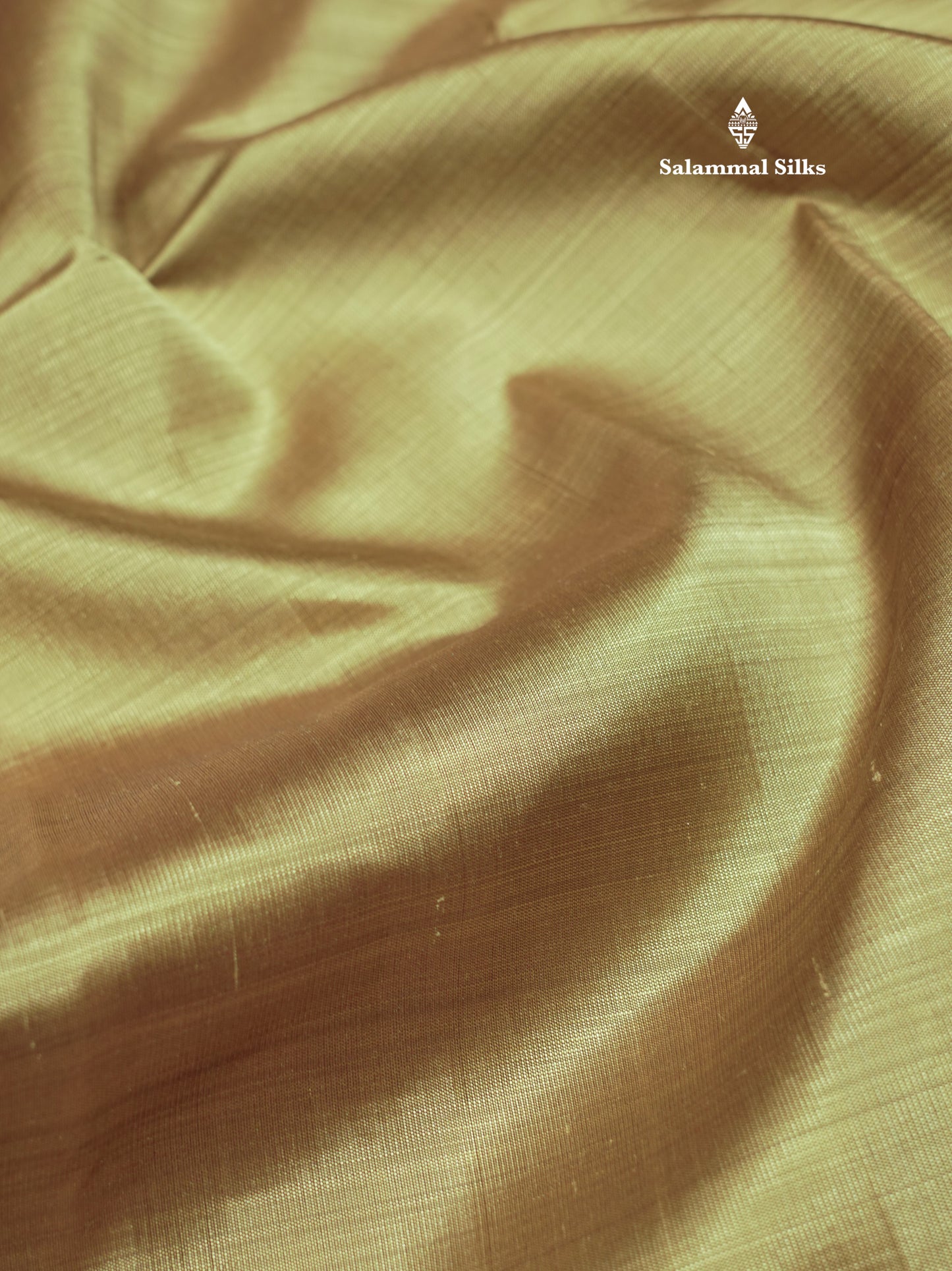 Kanjivaram Light Brown Plain Pure Kanjivaram Silk Saree With Traditional Temple Border