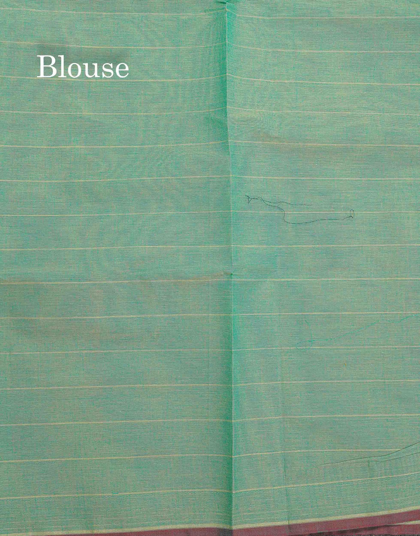 Pure Cotton Saree - Rexona Green Colour Body Lines With Fancy Thread Work Buttas