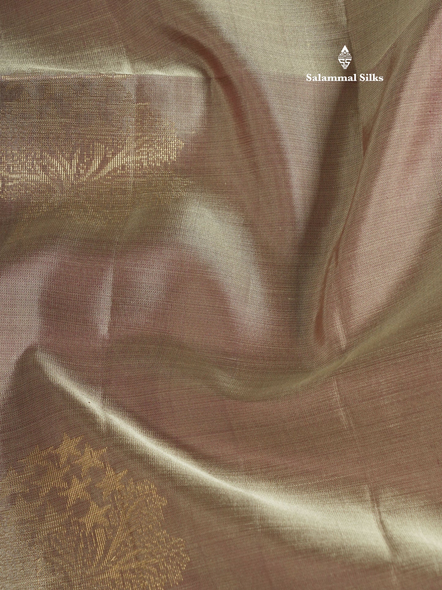 Light Brown Kanjivaram Pure Soft Silk Saree With Contrast Dark Maroon Border