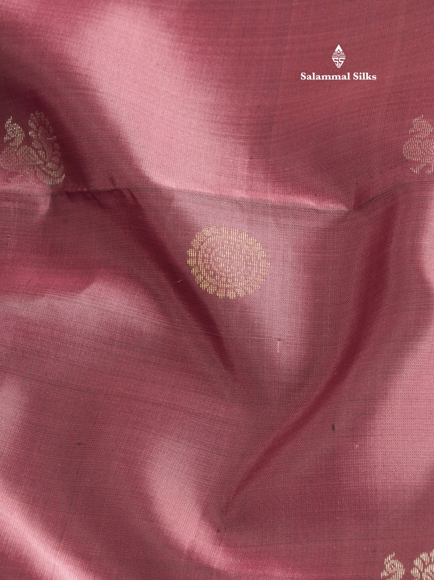 Beautiful Light Chocolate Kanjivaram Pure Soft Silk Saree With Contrast Violet Double Border