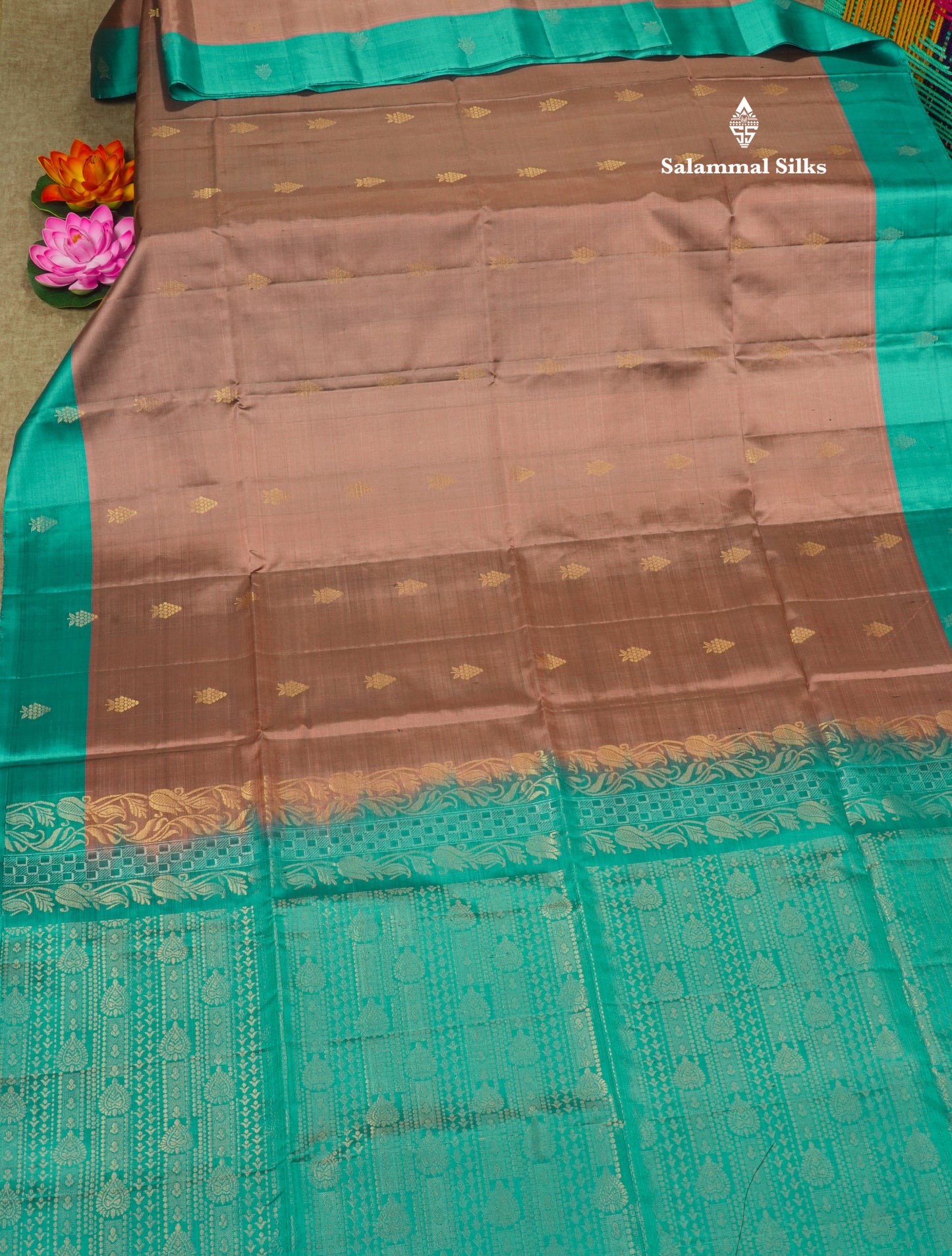 Beautiful Light Brown Pure Kanjivaram Soft Silk Saree With Contrast Rama Blue Small Border