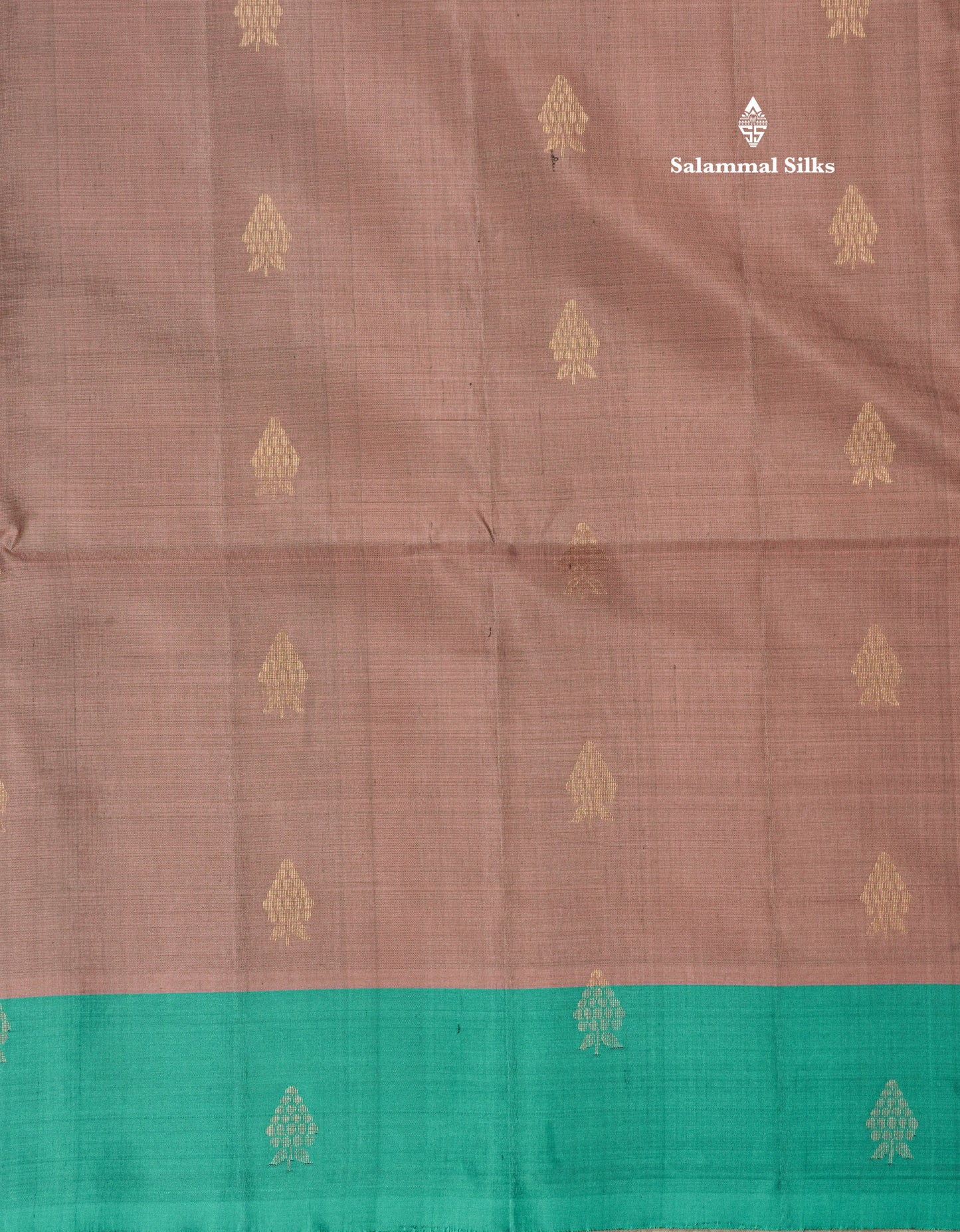 Beautiful Light Brown Pure Kanjivaram Soft Silk Saree With Contrast Rama Blue Small Border