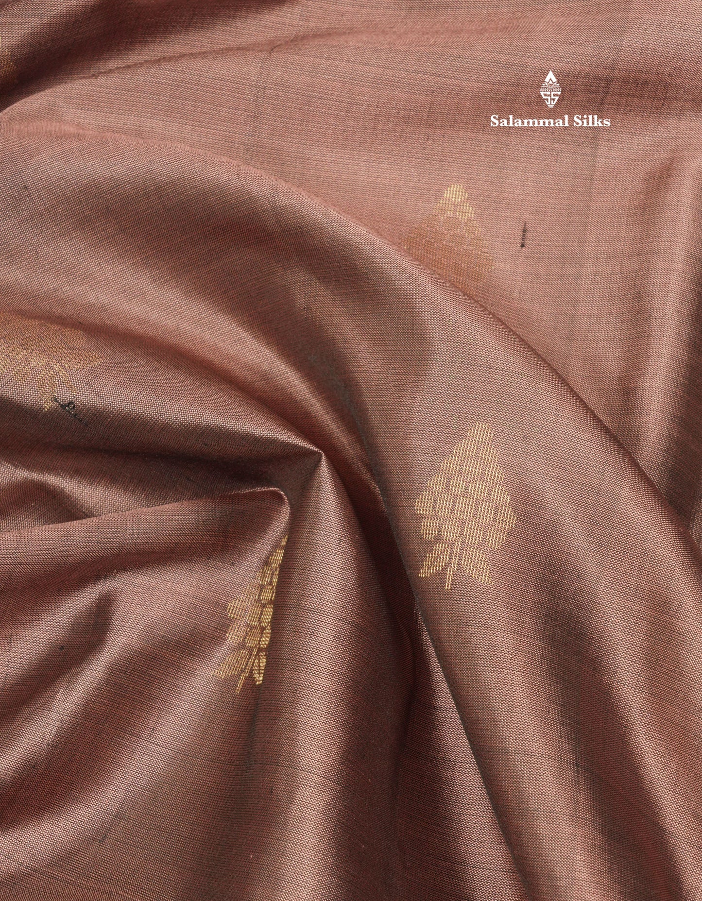 Beautiful Light Brown Pure Kanjivaram Soft Silk Saree With Contrast Rama Blue Small Border