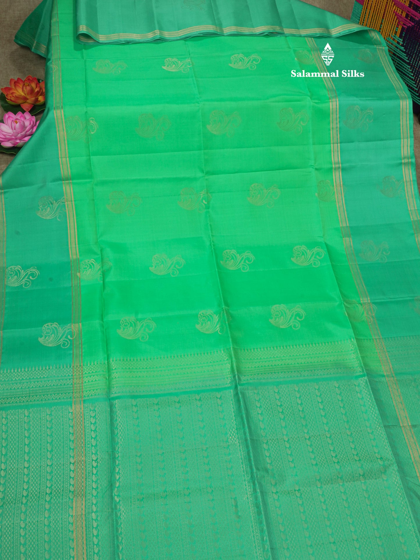 Beautiful Light Green Pure Kanjivaram Soft Silk Saree With Contrast Rexsona Border