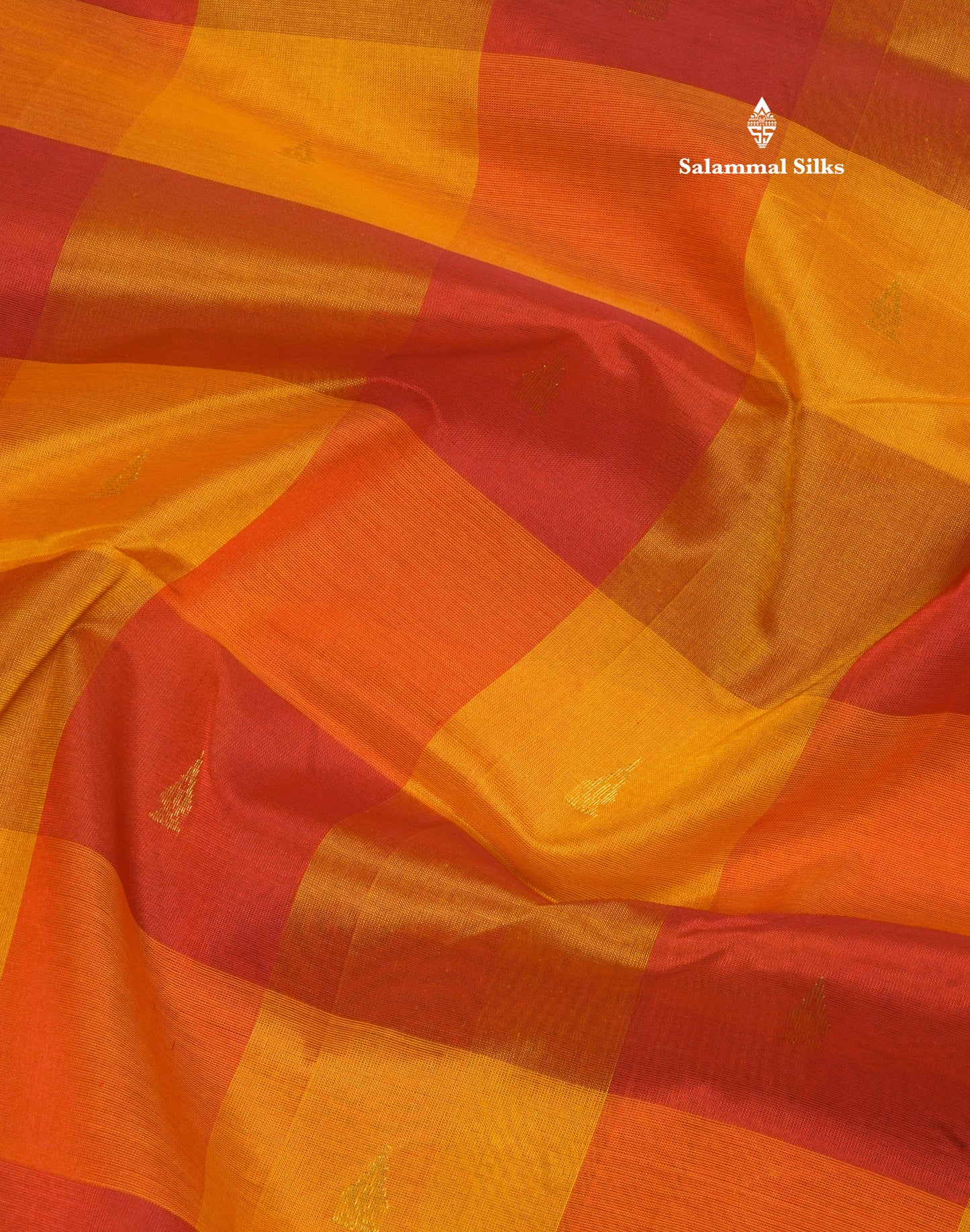 Paalum Pazham Checks Pure Silk Cotton Saree With Gold Zari Border