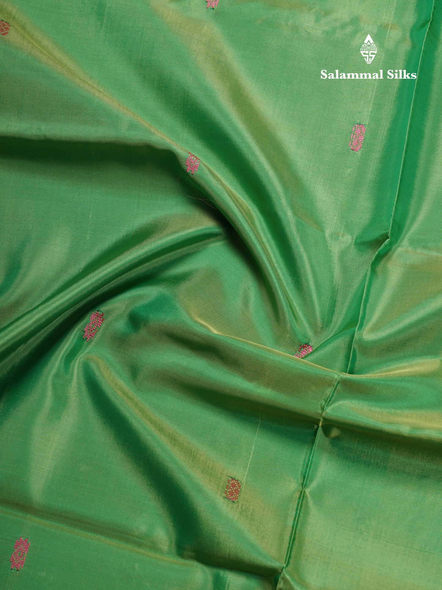 Parrot Green Banana Pinth Saree (Vaazhainaar Pattu) With Contrast Light Chocolate Blouse