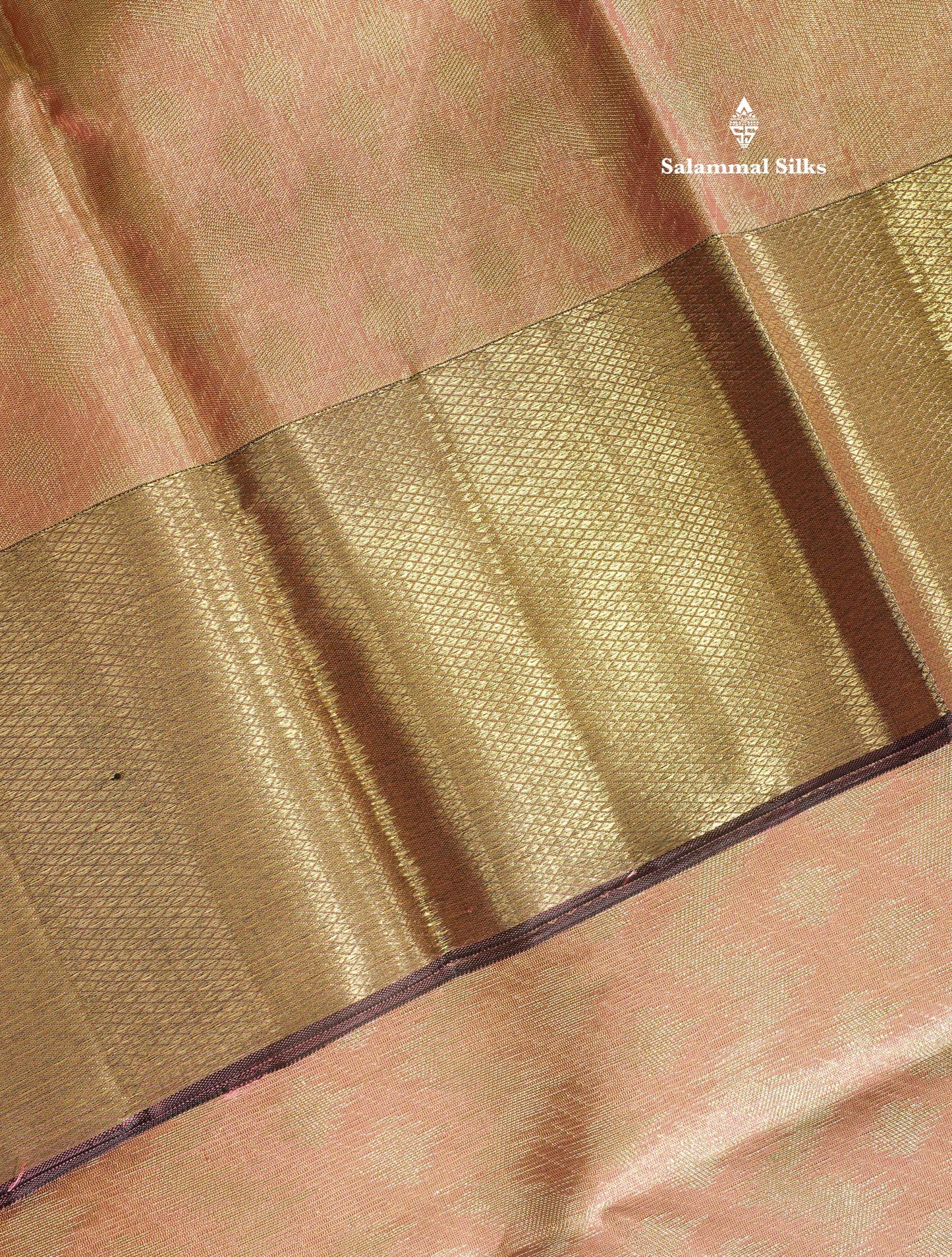 Onion Pink Tissue Pure Kanjivaram Silk Saree (2G) Zari With Contrast Long Brown Border
