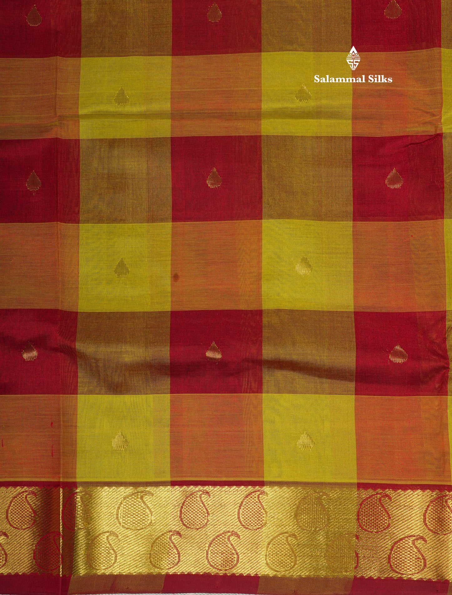 Multicolour Paalum Pazham Checks Pure Silk Cotton Saree With Traditional Gold Zari Border