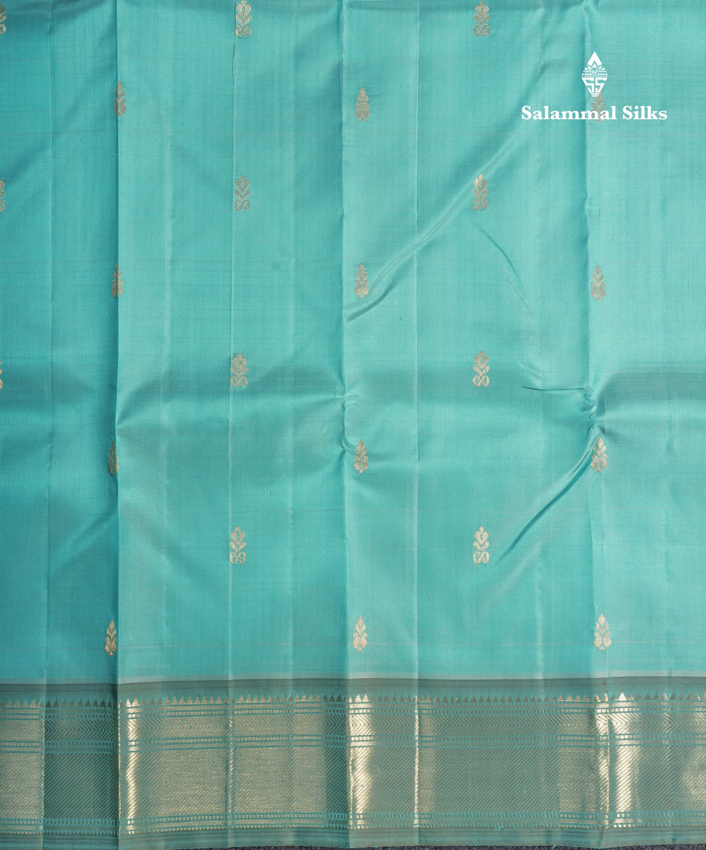 Sky Blue Pure Kanjivaram Silk Saree With Self One Side Border