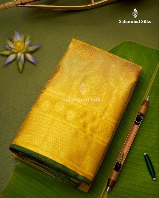 Kanjivaram Gold Colour 2G Zari Pure Silk Saree With Gold Zari Border