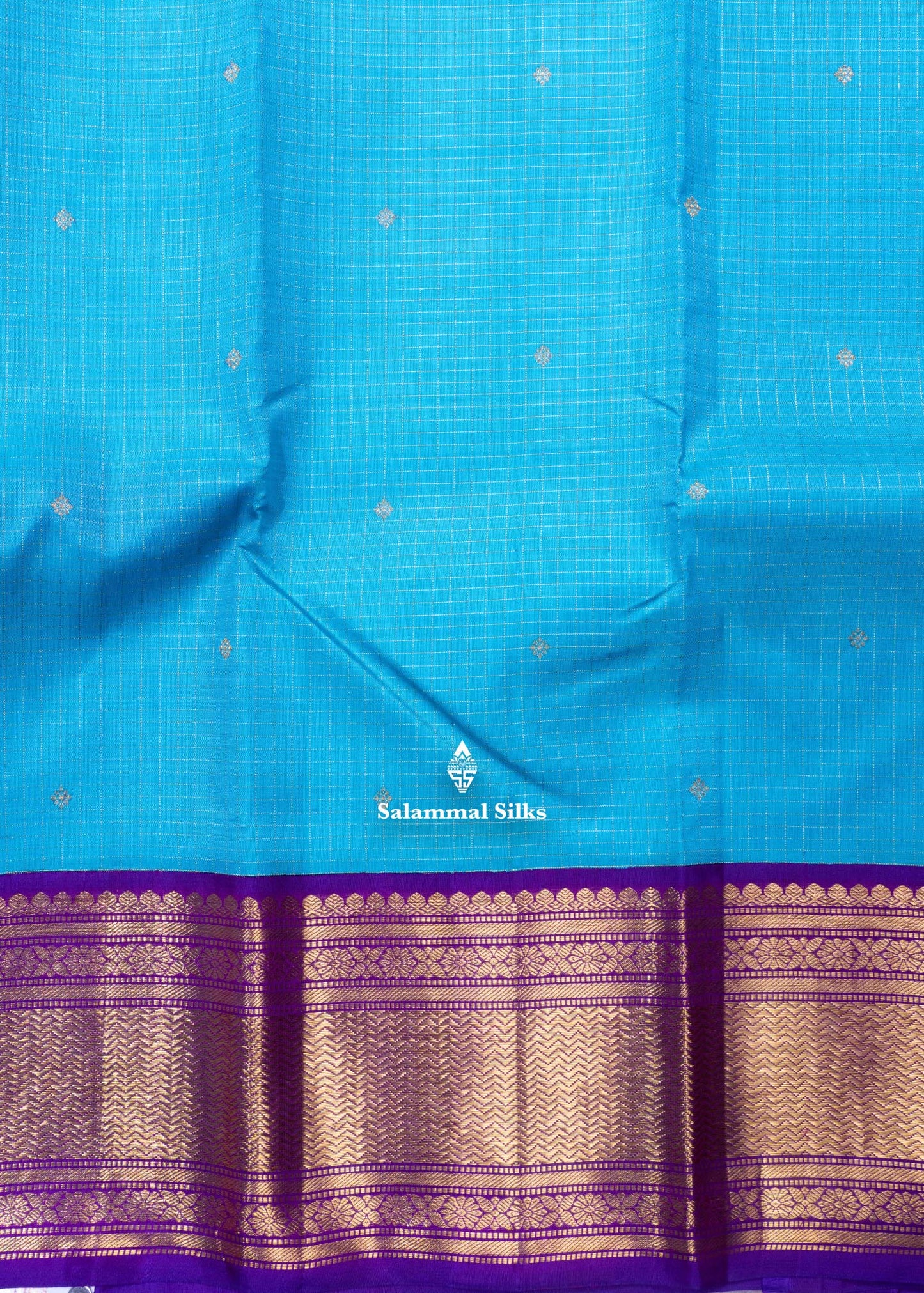 Kanjivaram Sky Blue Pure Silk Saree With Korvai Vadamalli Colour Border