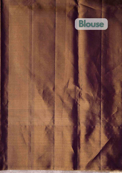 Theme Based Pure Kanjivaram Tissue Silk Saree With Plain Blouse