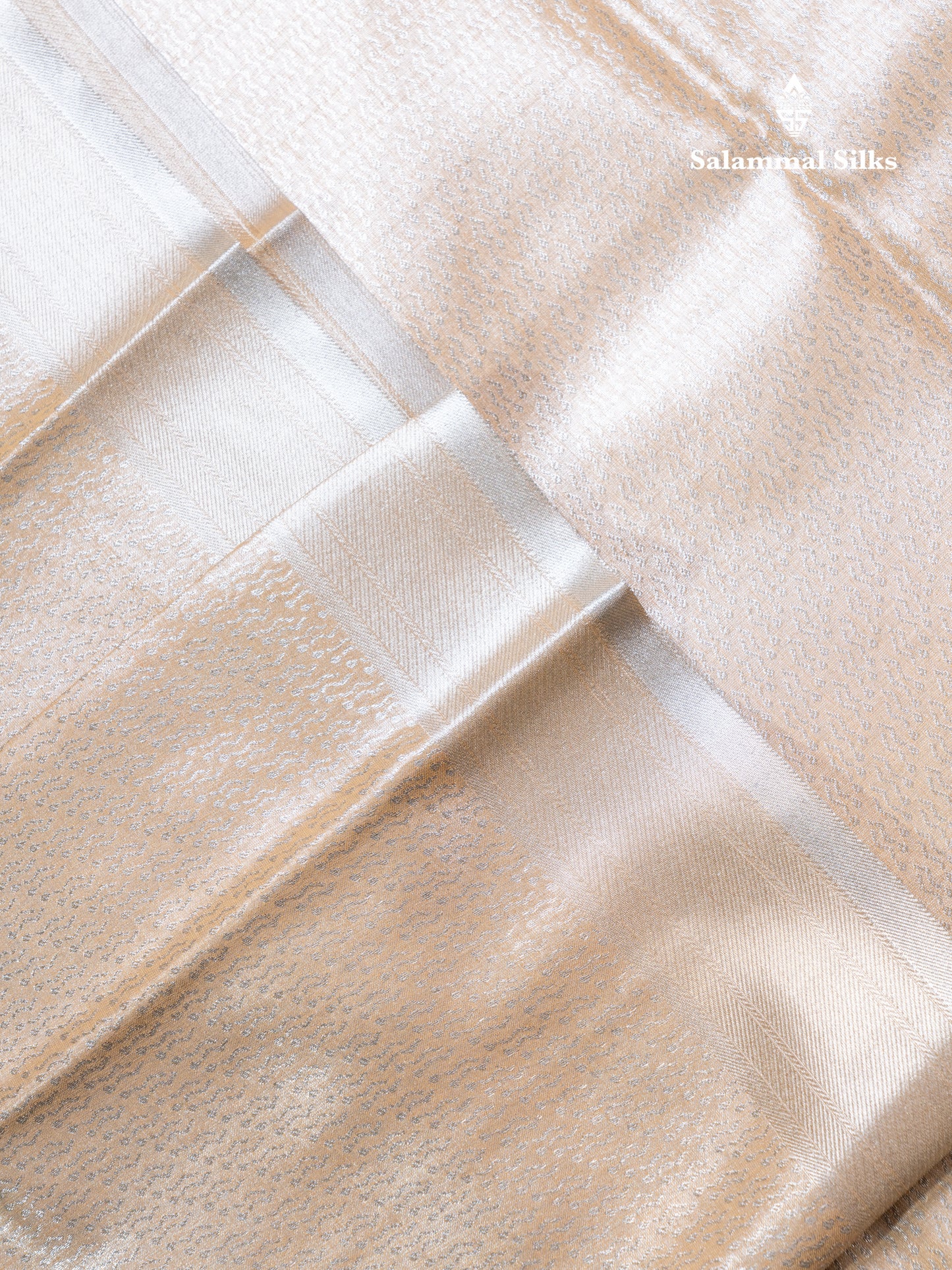 Silver Bridal Tissue Semi Silk Saree With Traditional Evening Morning Border