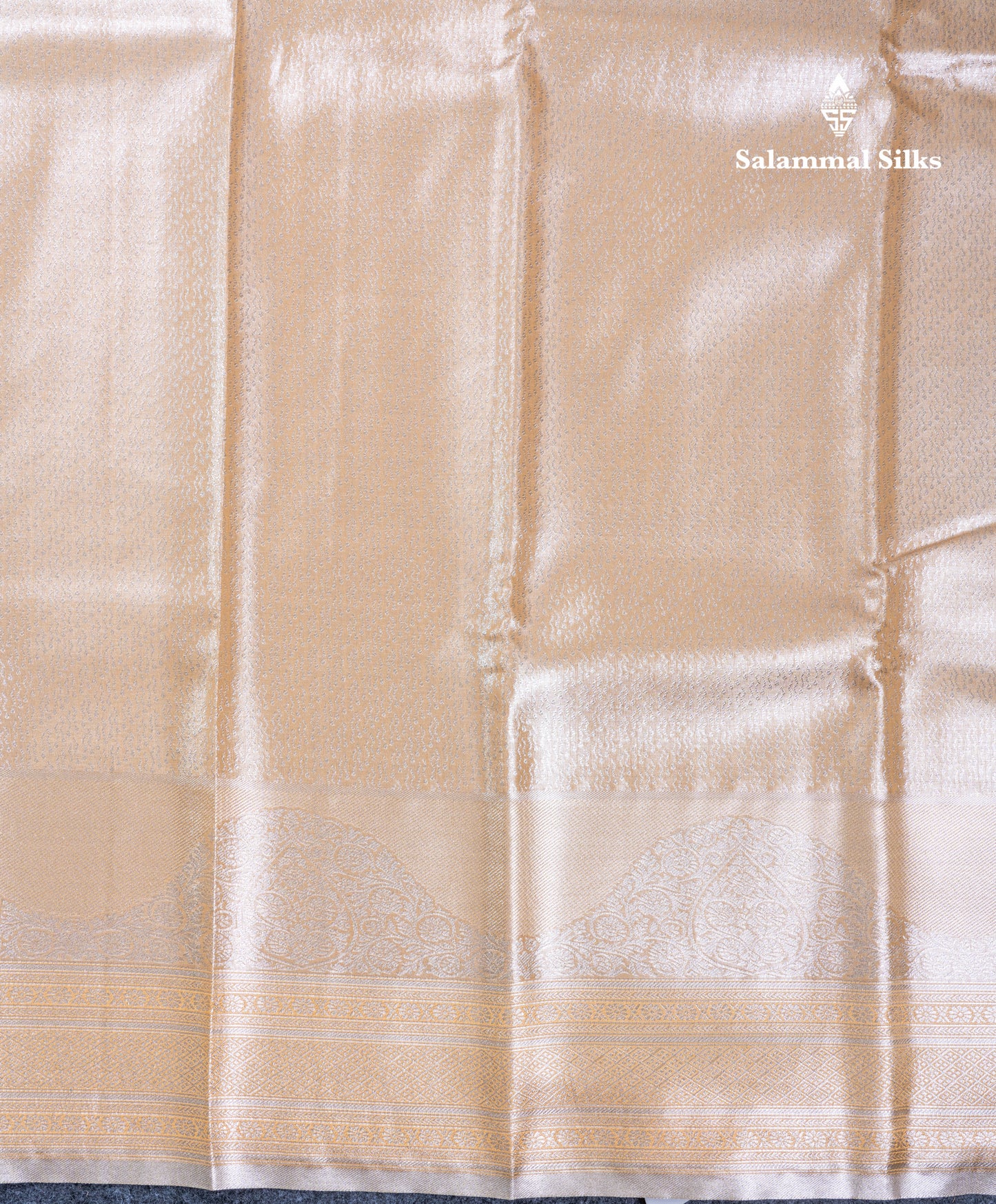 Silver Bridal Tissue Semi Silk Saree With Traditional Evening Morning Border
