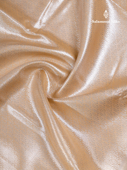 Silver Bridal Tissue Semi Silk Saree With Traditional Evening Morning Border