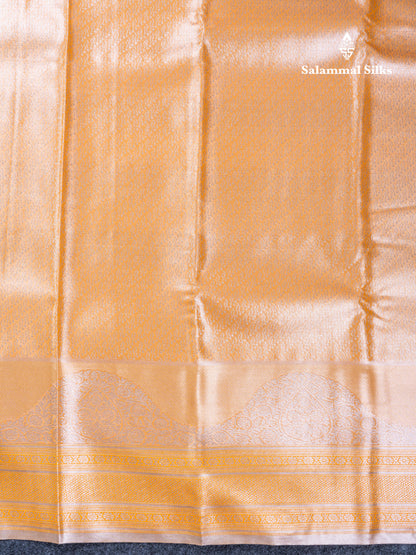 Silver Bridal Tissue Semi Silk Saree With Traditional Evening Morning Border