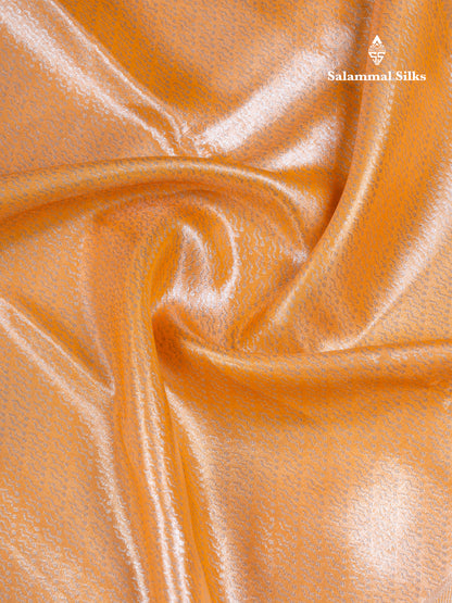 Silver Bridal Tissue Semi Silk Saree With Traditional Evening Morning Border
