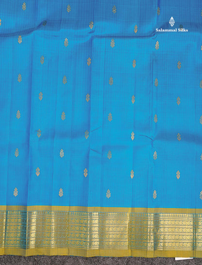 One Side Border Pure Silk Saree - Ananda Blue With Contrast Manthulir Green Traditional Border