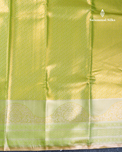 Silver Bridal Tissue Semi Silk Saree With Traditional Evening Morning Border