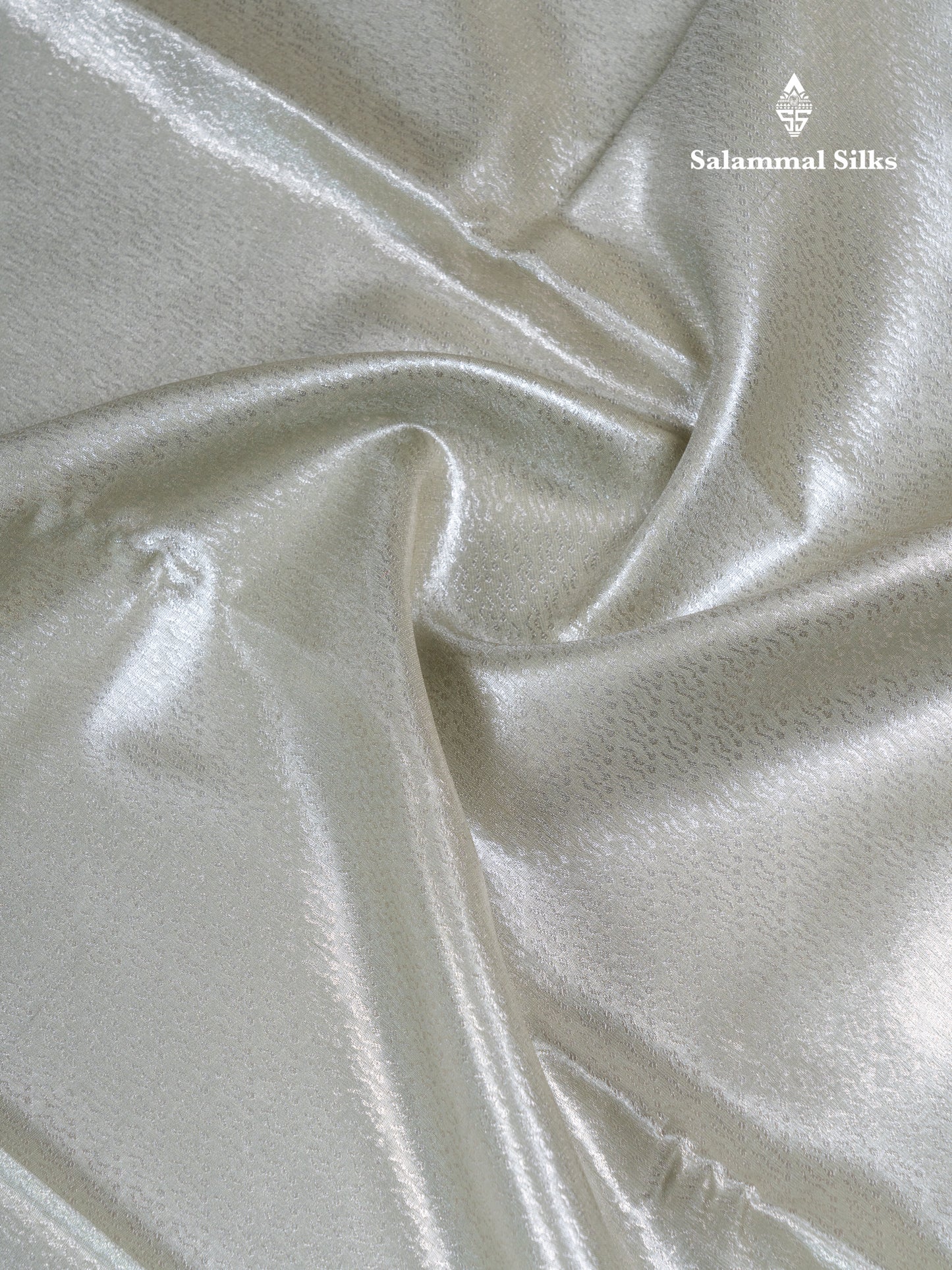 Silver Bridal Tissue Semi Silk Saree With Traditional Evening Morning Border