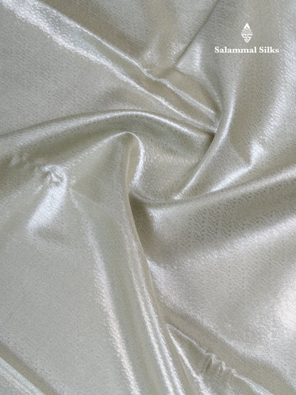 Silver Bridal Tissue Semi Silk Saree With Traditional Evening Morning Border